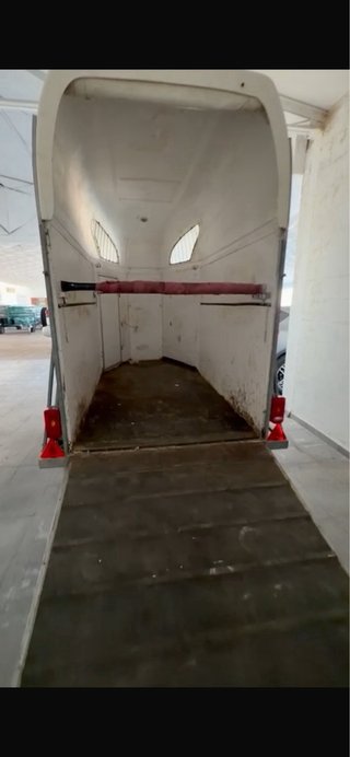 Remolque para caballos STARLINE