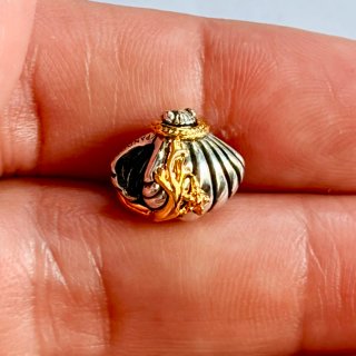Charms Nueva Concha Ariel Disney Plata y Oro