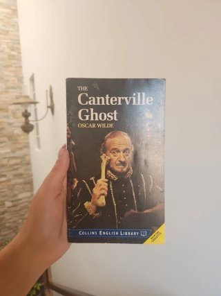 Lote 8 Libros de lectura en Inglés
