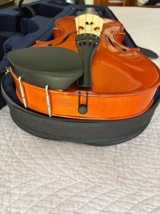 Viola Palatino 35VA 16.
