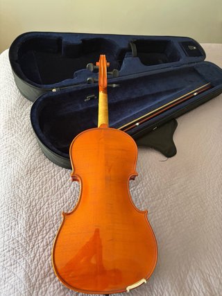 Viola Palatino 35VA 16.