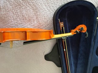 Viola Palatino 35VA 16.