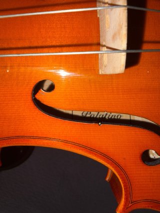 Viola Palatino 35VA 16.