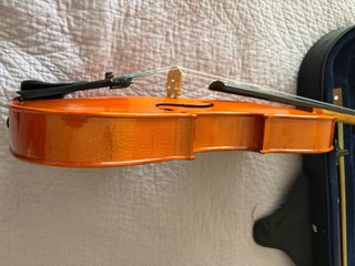 Viola Palatino 35VA 16.