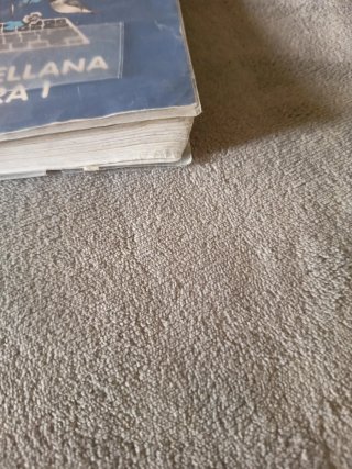 Lengua castellana y literatura I. Libro del est...