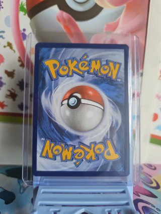 Carta Pokémon Terapagos EX Teracristal