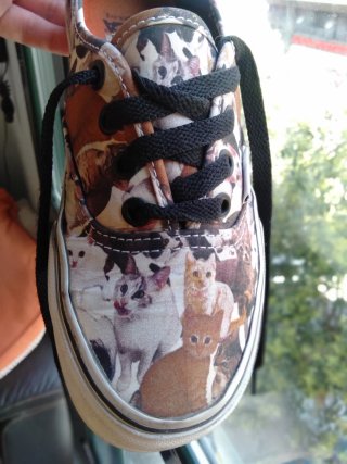Zapatillas VANS Estampado Gatos