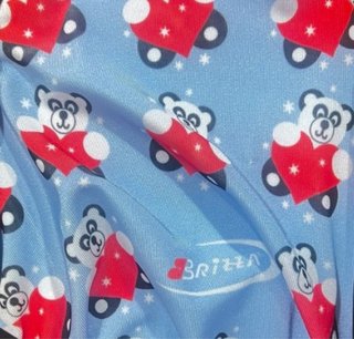 Funda para casco de esquí BRIZZA.