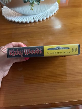 Risky Woods Juego Mega Drive