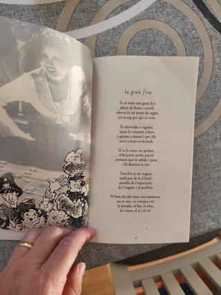 L'illa amb llunes