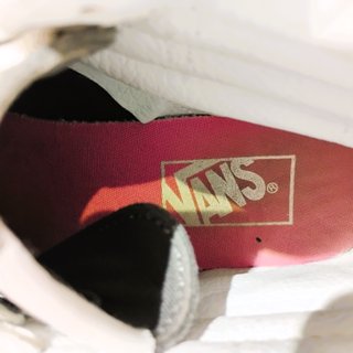Vans Sk8-Hi Slim Tropical Mesh Zapatillas Pie T-40