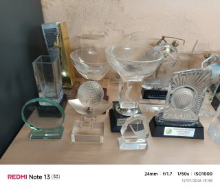 Lote Trofeos Golf - Varios Modelos