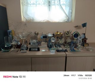 Lote Trofeos Golf - Varios Modelos
