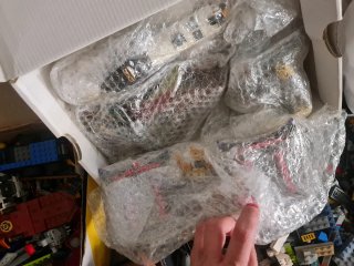 Gran Lote LEGO Completo (Incl. Sets exclusivos)