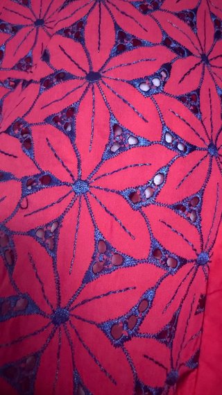 Blusa Minueto Roja Bordada