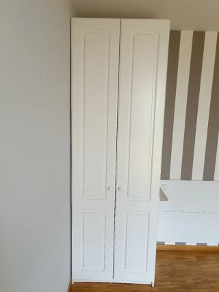2 puertas con bisagras de 40x235 para armario