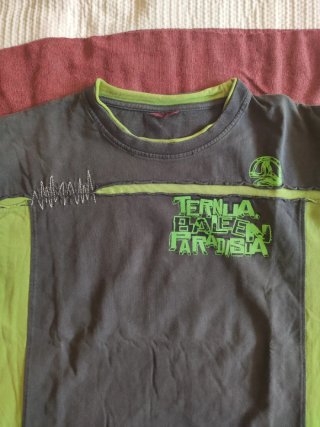 Camiseta Ternua Manga Larga Gris y Verde