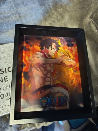 Cuadro Homográfico One Piece Ace y luffy