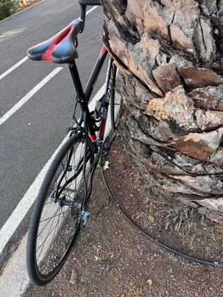 Orbea Avant Bicicleta de Carretera