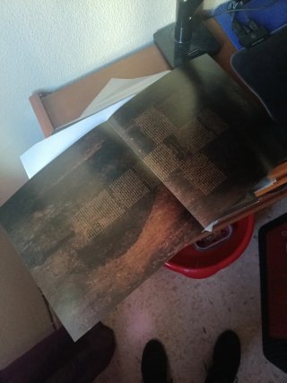 Vinilo Santo Rostro