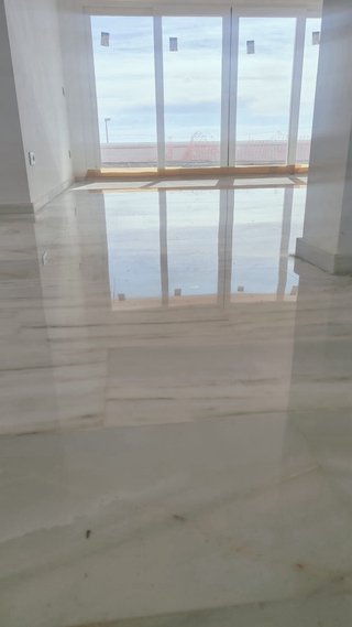 Pulidor de suelos profesional