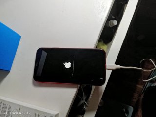 iPhone 11 Rojo