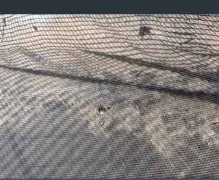Cama elástica con red de seguridad con agujerito
