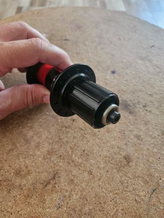 Bujes DT Swiss 240S Nuevos Ratchet #bujes#nucleo