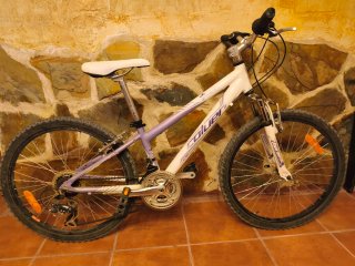 Bicicletas 24 pulgadas,(80€ las dos).