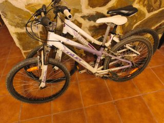 Bicicletas 24 pulgadas,(80€ las dos).