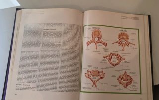 Gran ensclopidia de medicina