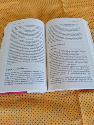 Alimentación prebiotica