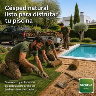 Jardineria/desbrossament - Jardinería/desbroce