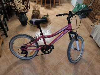 Bicicleta Infantil Unit Diana Extreme 20