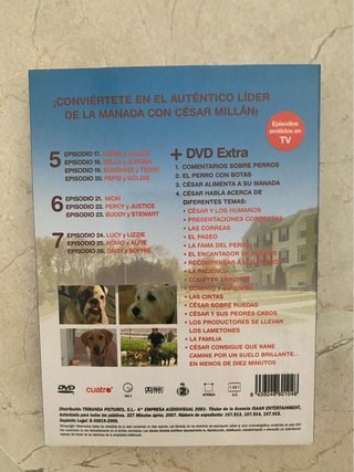 El Encantador de perros y  guía del adiestramiento