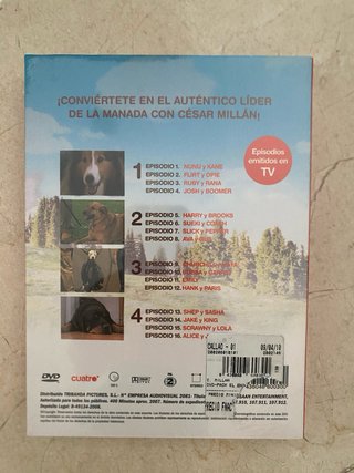 El Encantador de perros y  guía del adiestramiento