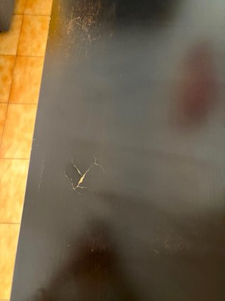 Mesa de escritorio negra