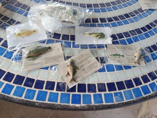 Lotes de señuelos de pesca