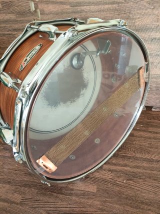 Caja Pearl Bubinga 14x6.5 Vintage