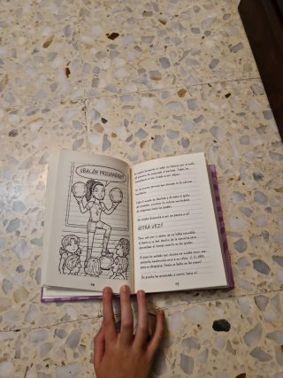 Libro del diario de Nikki 8