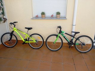 Bicicleta Infantil Woodsun 24 Aluminio