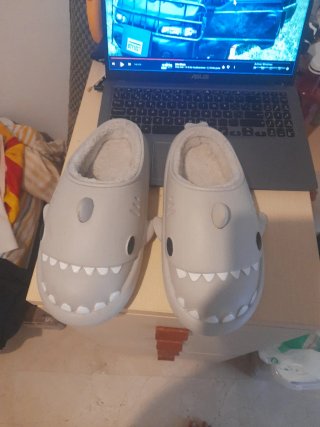 Zapatillas Tiburón Talla 42