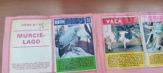 Álbum CROMOS ANIMALES