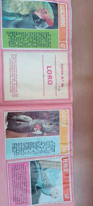 Álbum CROMOS ANIMALES