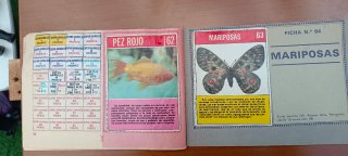 Álbum CROMOS ANIMALES