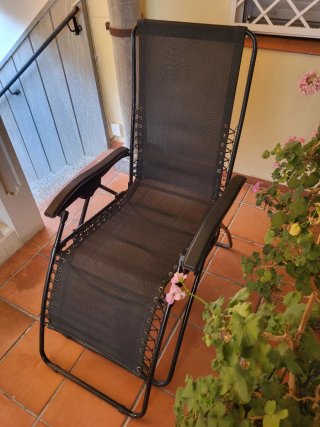 Tumbona de Jardín Plegable y Reclinable Negra