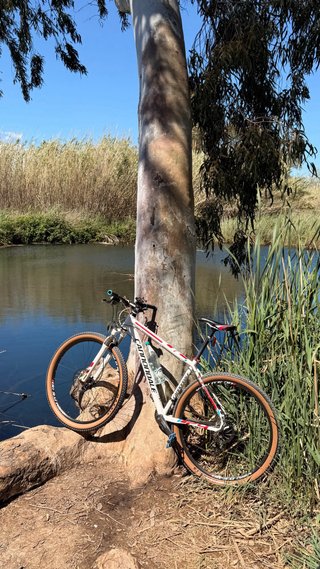 Cannondale MTB 29 Impecable
