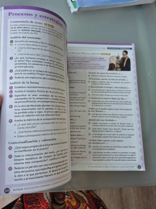 Lengua castellana y literatura II. Libro del es...