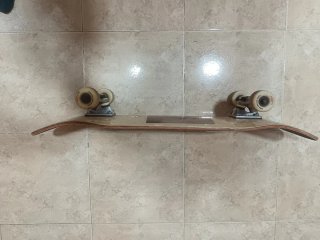 Skate Globe Psycotropics
