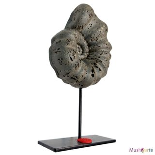 Réplica Amonite Gris